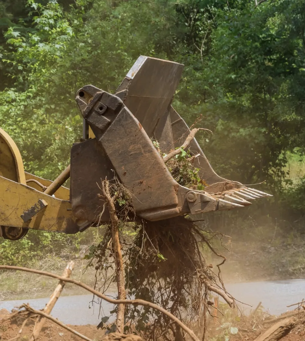 Excavator grapple removing a tree stump during land clearing
